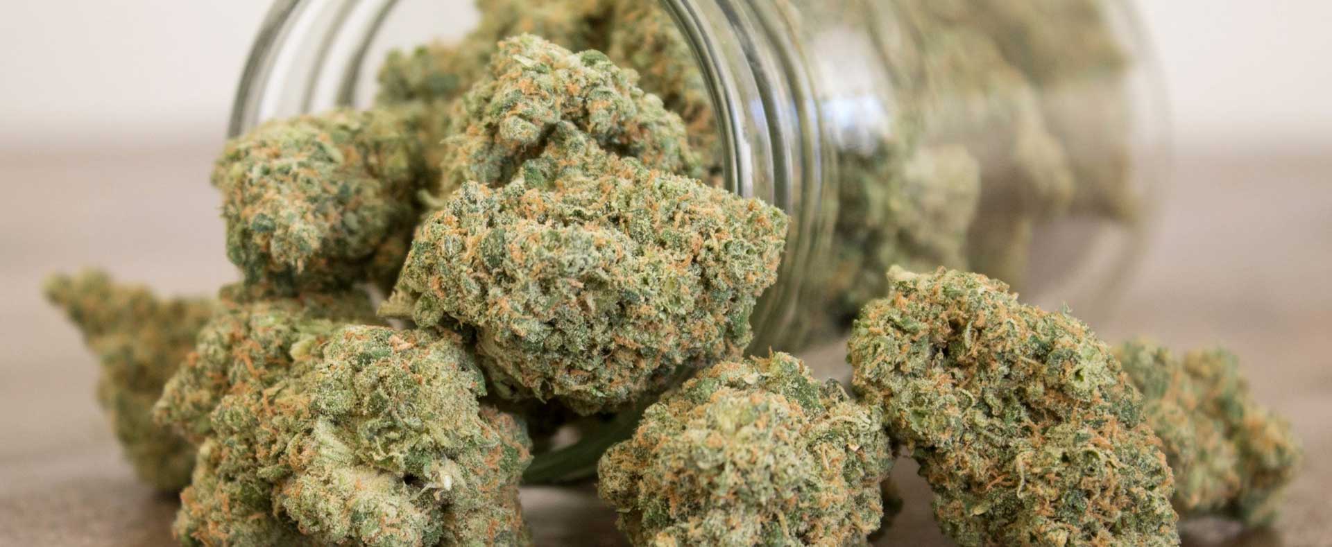Cannabis online kaufen - Gras kaufen Deutschland, Weed online kaufen,  Haschisch kaufen